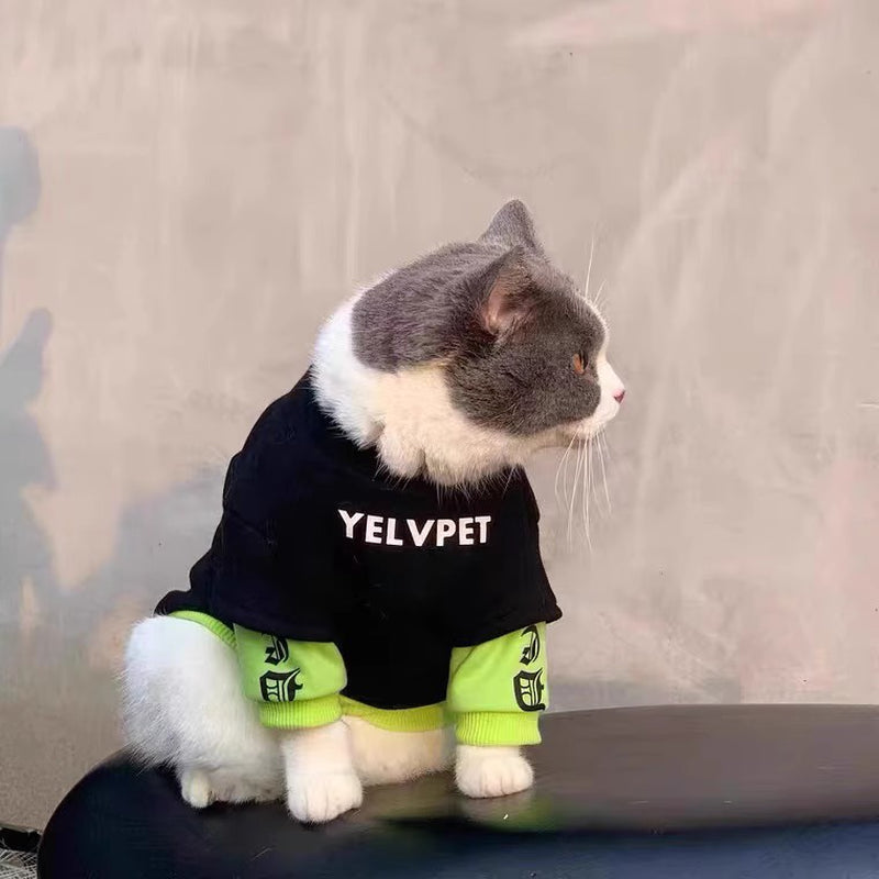 Cozy Autumn & Winter Pet Clothes – Stylish Outfits for Small Dogs & Cats